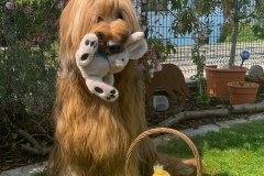 image5