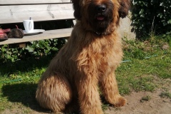 Hugo x Luca vom Vossberg