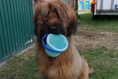 Hugo x Luca vom Vossberg