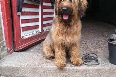 Hugo x Luca vom Vossberg