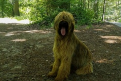 Hugo x Luca vom Vossberg