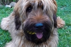 Hugo x Luca vom Vossberg